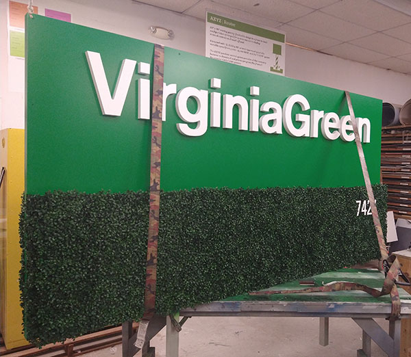 virginia green